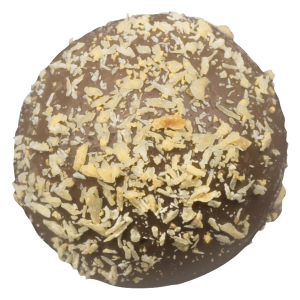 Toasted Coconut (Milk)